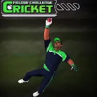 Cricket Fielder Challenge Game - Unblocked Games G+